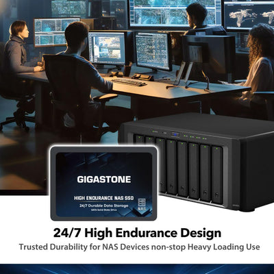 Gigastone NAS SSD 1TB Enterprise SSD Festplatte TLC Hohe Dauerhaltbarkeit Server SSD für 24/7 Dauerb