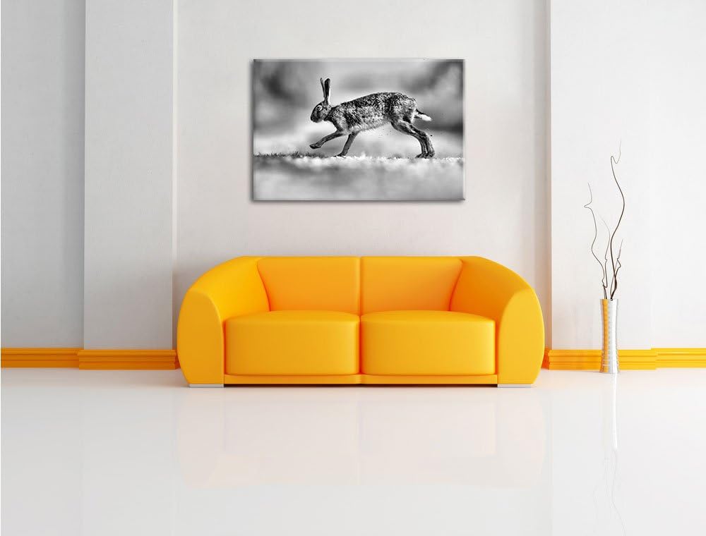 Monocrome, Hüpfender Hase, Format: 100x70 auf Leinwand, XXL riesige Bilder fertig gerahmt mit Keilra
