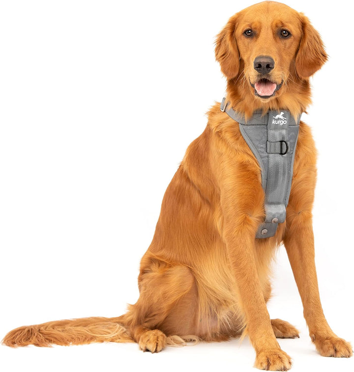 Kurgo Tru-Fit Hundegeschirr, Crash-Test-erprobtes Auto-Sicherheitsgurt, Für Hunde von 2 bis 5 kg, Gr