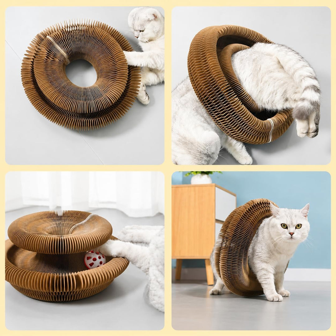 Kitty Curls Katzenspielzeug, 2025 Neue Kitty Kurls Katzenspielzeug Marlene, Magic Organ Cat Scratchi