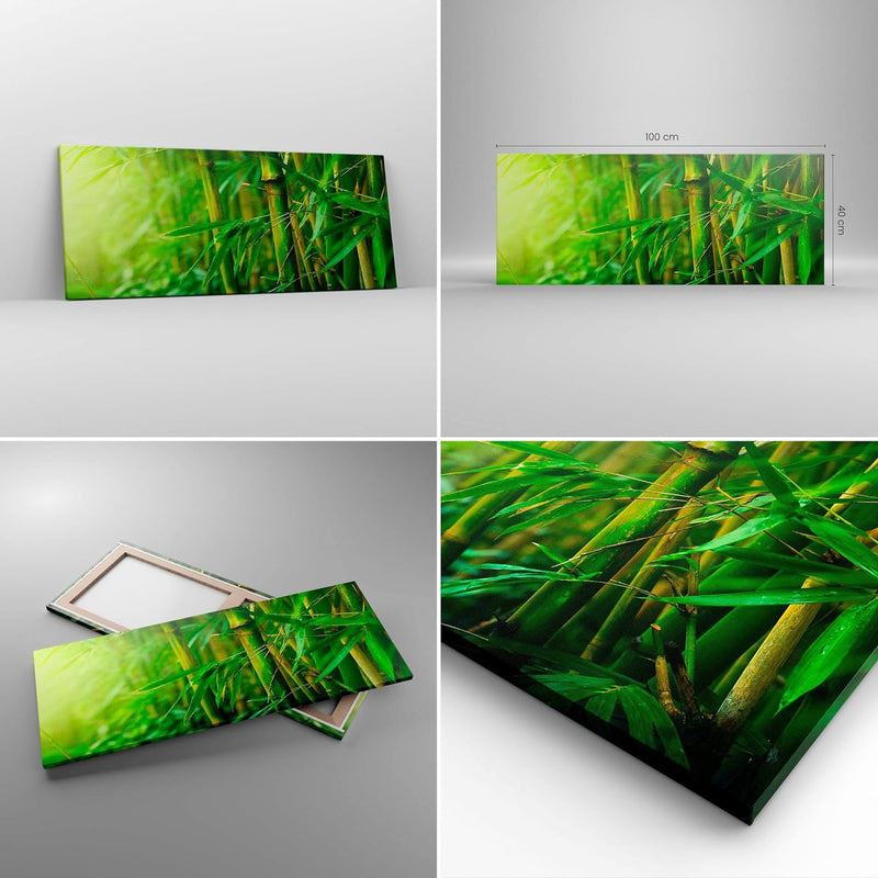 Panorama Bilder auf Leinwand 100x40cm Leinwandbild mit Rahmen Bambus Pflanze Gross Wanddeko Bild Sch