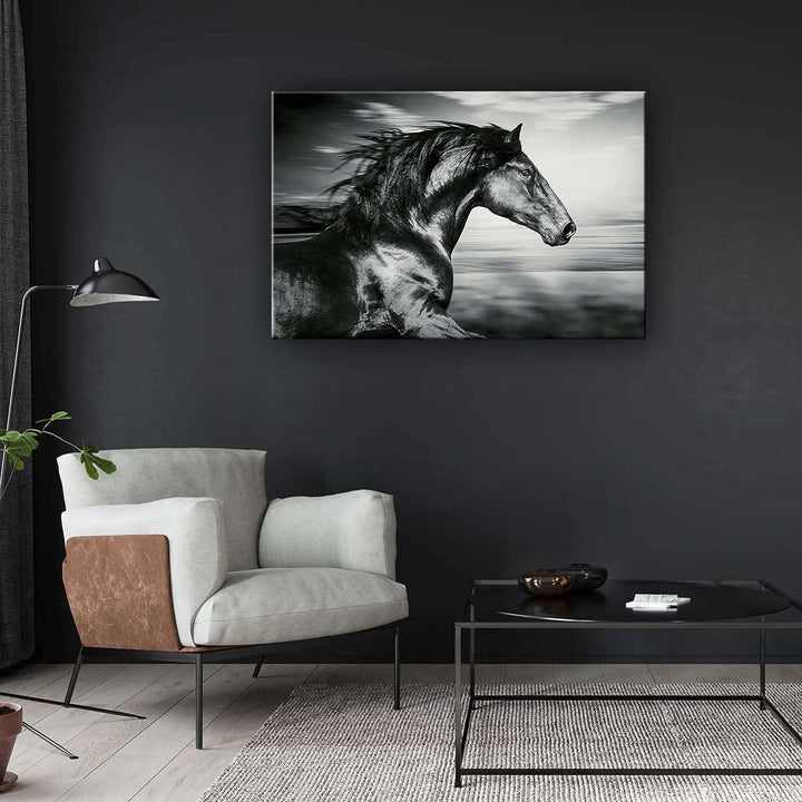Startonight Bilder Schwarzes Pferd Läuft - Leinwandbilder Moderne Kunst - Tiere Wanddeko Kunstdrucke