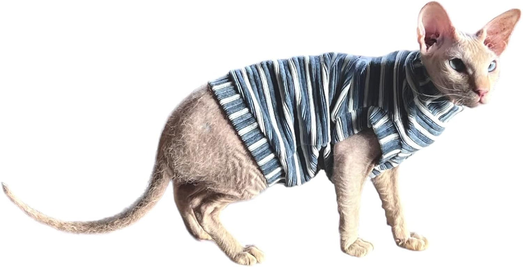 Kotomoda Katzen Kleidung T-Shirt Kord staubblau fur Sphynx Katzen (S), S