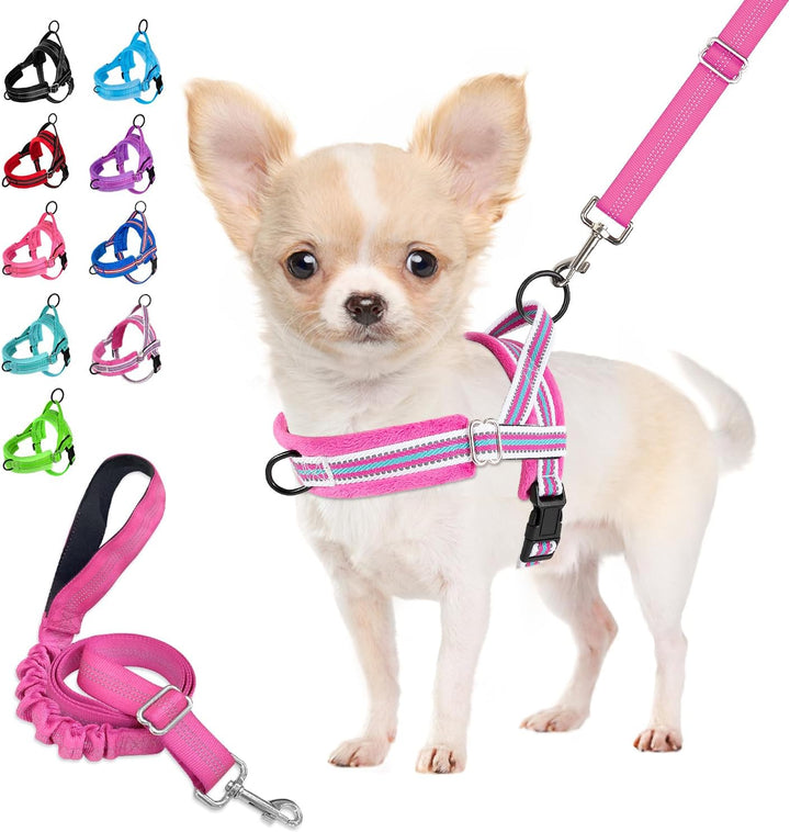 Eyein No-Pull Hundegeschirr mit Leine, Geschirr mit Weich Gepolstertes, Reflektierend, Verstellbares