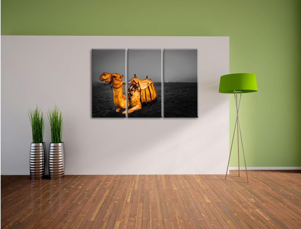 Pixxprint Kamel in Ägypten als Leinwandbild/Grösse: 3 Teilig (120x80 cm) cm/Wandbild/Kunstdruck/fert