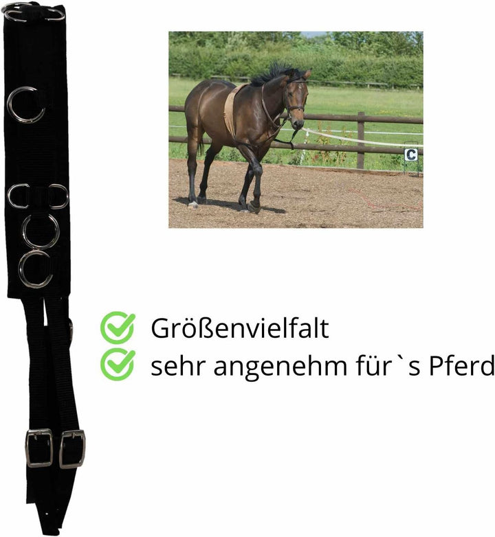 AMKA Longiergurt aus Nylon mit weicher Filzunterlage und 12 Ringen verstellbar, alle Grössen auch fü