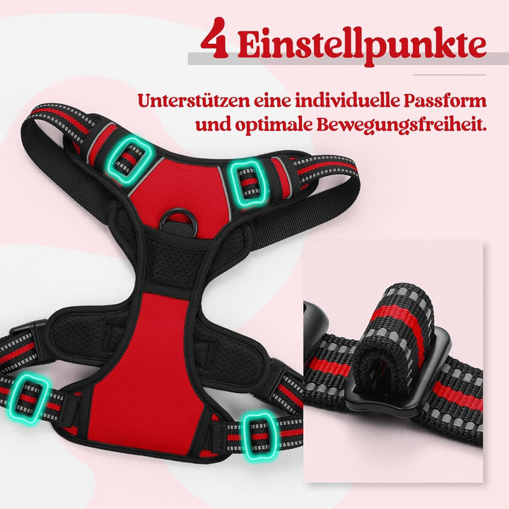 rabbitgoo Hundegeschirr Mittelgrosse Hunde Anti Zug Geschirr Hund mit Kontrolle No Pull Verstellbar