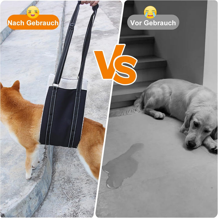 Tragehilfe Hund Einstellbare Hunde Tragehilfe Gross Hund Hinten Lift Support Geschirr für Kleine, Mi