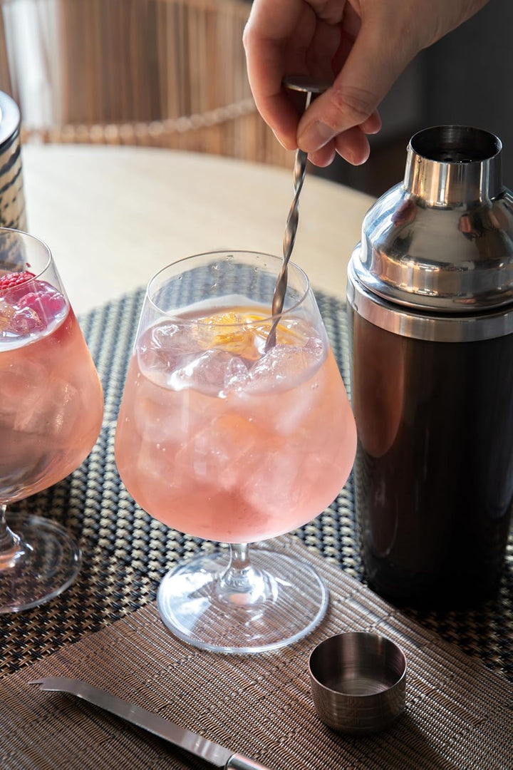 BarCraft, Luxuriöses Gin-Geschenkset mit Gin-Gläsern, Cocktail-Shaker, Cocktail-Rührlöffel, Doppelse