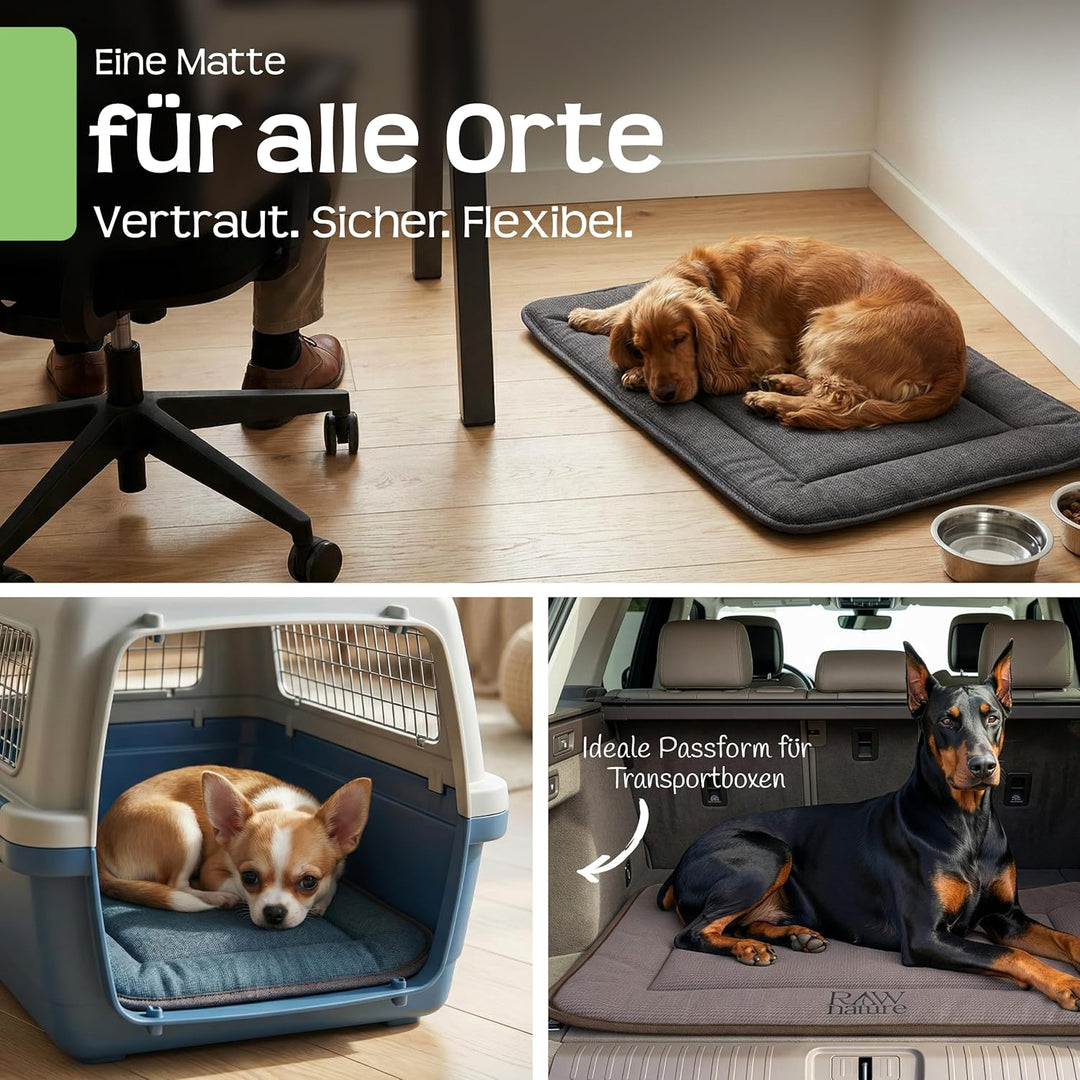 RAW Nature Hundematte KIVO S – 60x45x3 cm Alpengrau, rutschfeste Hundeliegematte aus Cord, waschbar,