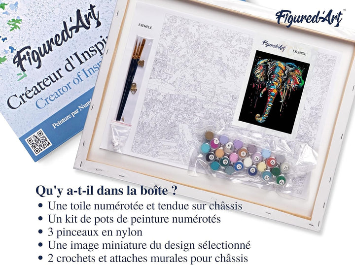 Figured'Art Malen Nach Zahlen Erwachsene Mit Rahmen Elefanten Malerei - Paint by Numbers Basteln DIY