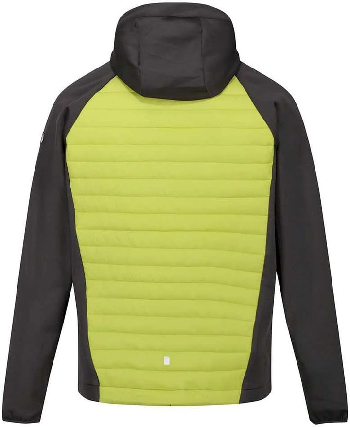 Regatta Herren Andreson Vii Hybrid Hybridjacke M Grün, M Grün