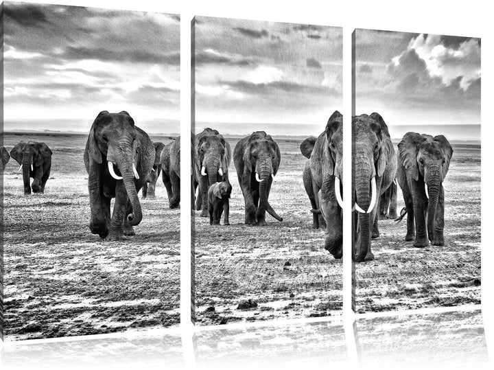 Pixxprint Elefanten Familie in der Savanne als Leinwandbild/Grösse: 3 Teilig (120x80) cm/Wandbild/Ku