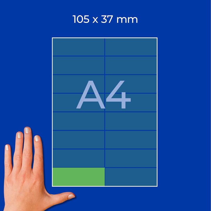 AVERY Zweckform 3454 Grüne Etiketten (1.600 Aufkleber, 105x37mm auf A4, permanent haftend, selbstkle