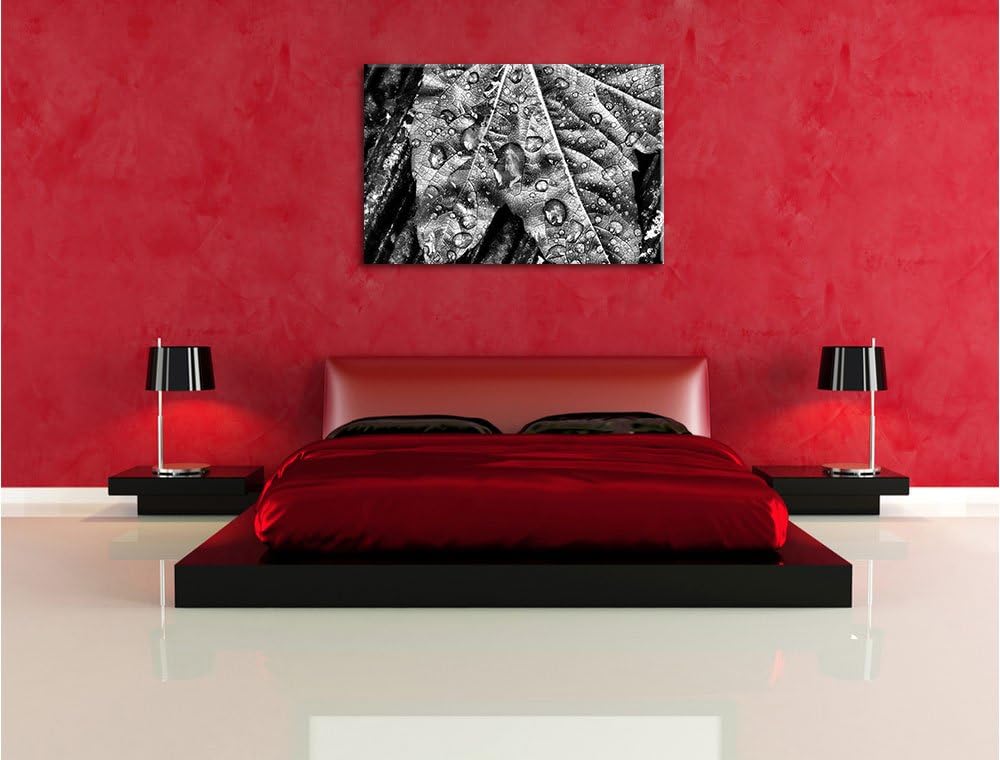 Pixxprint Regentropfen auf Blatt als Leinwandbild/Grösse: 100x70 / Wandbild/Kunstdruck/fertig bespan