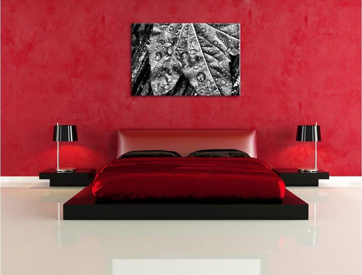 Pixxprint Regentropfen auf Blatt als Leinwandbild/Grösse: 100x70 / Wandbild/Kunstdruck/fertig bespan