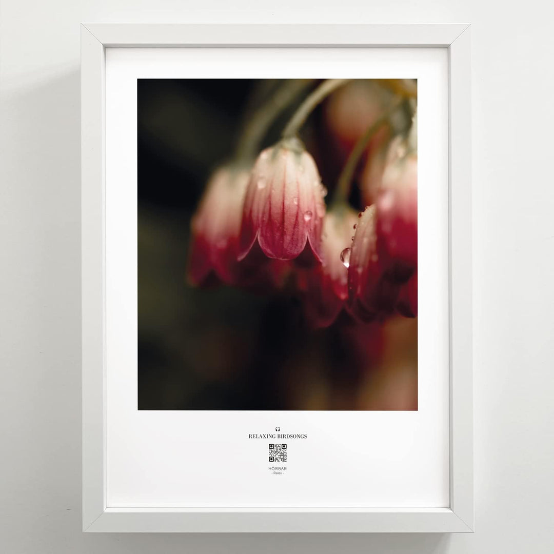 VALINA HÖRBAR RELAX | Hörbild | 3er-Set | Blumen | Poster Poster / Papier 30cm x 40cm, Poster / Papi