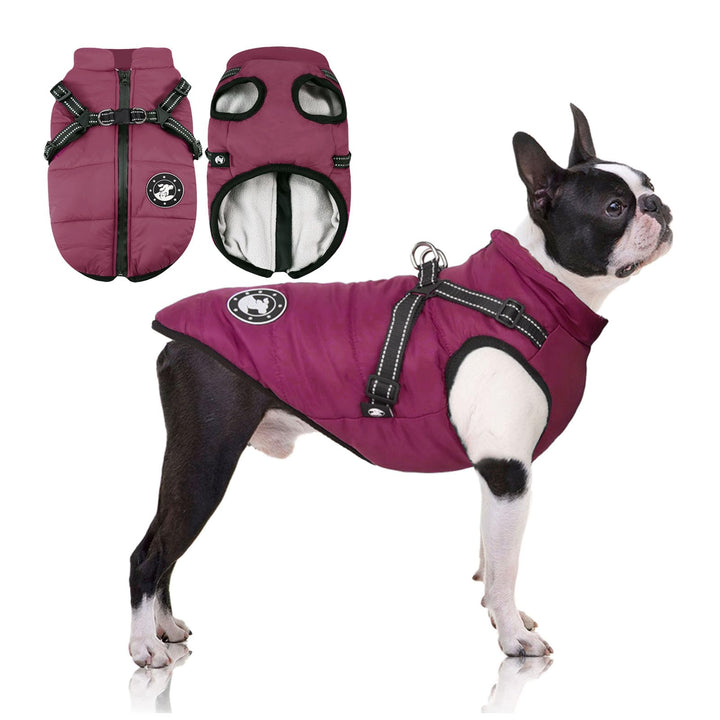 Hundemantel Wasserdicht, Hundemantel Französische Bulldogge, Warme Weste mit Hundegeschirr, Verschie