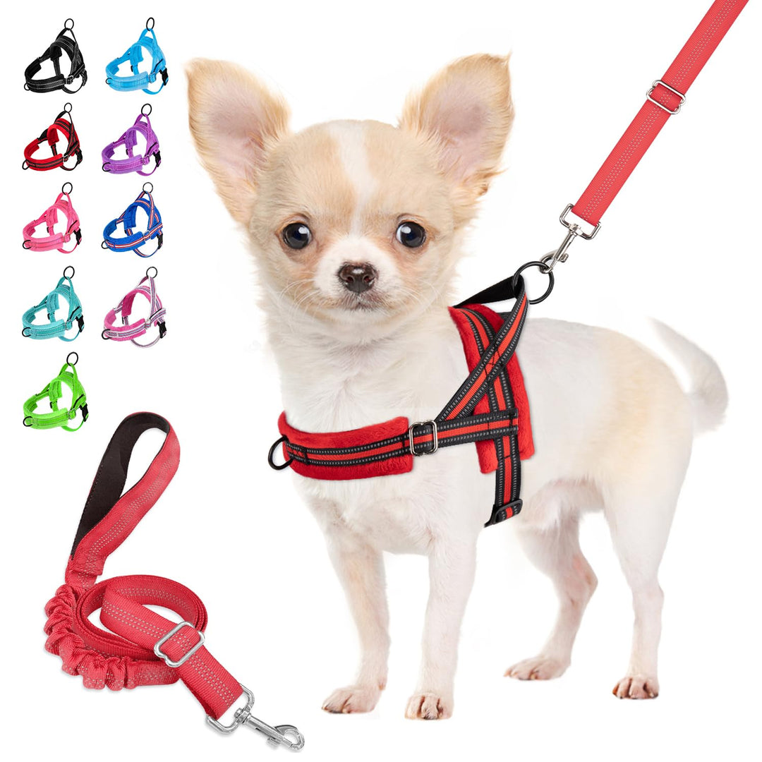 Eyein No-Pull Hundegeschirr mit Leine, Geschirr mit Weich Gepolstertes, Reflektierend, Verstellbares