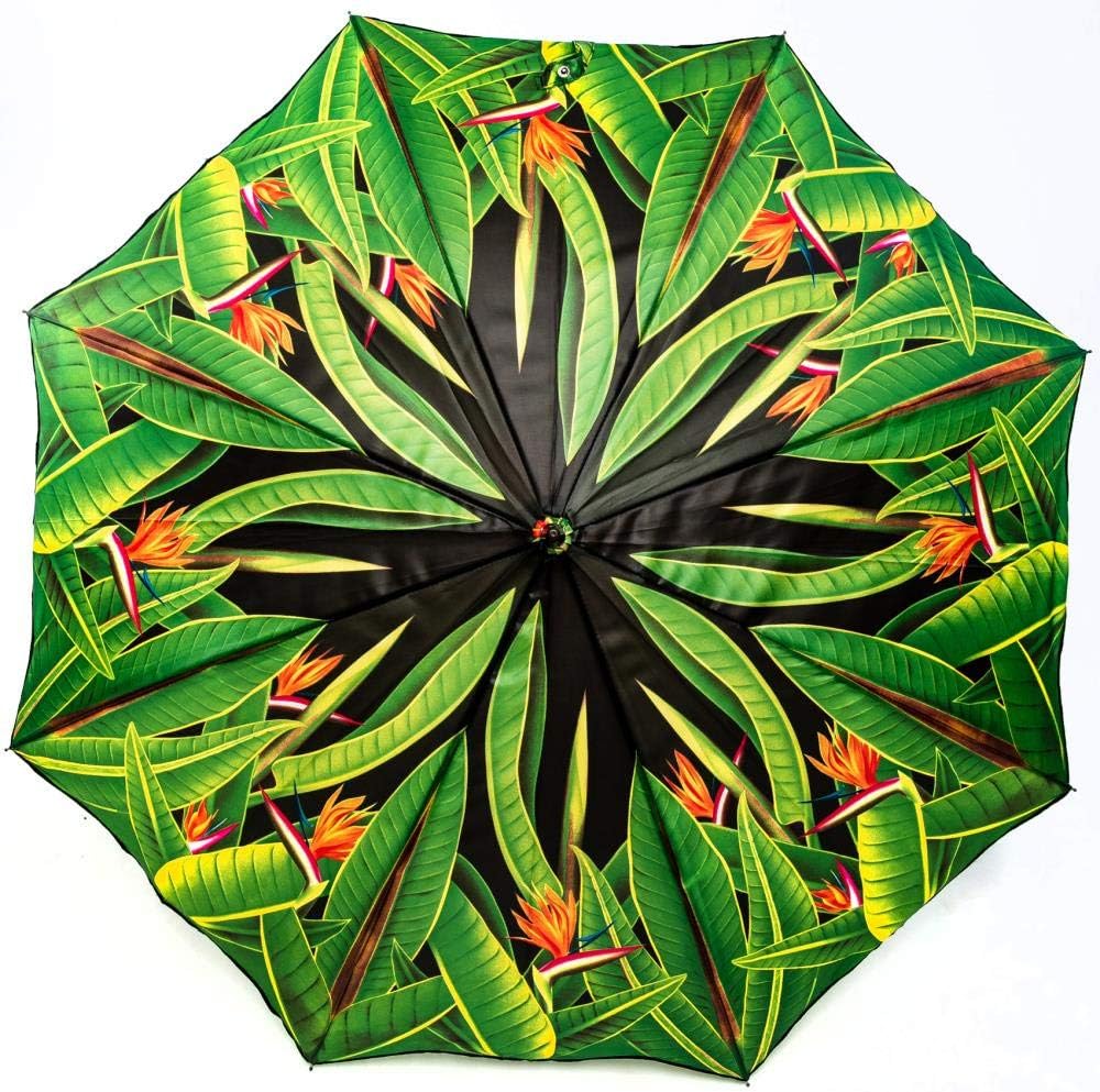 LUCKYWEATHER Regenschirm Stockschirm Damen Motiv Strelitzien Auf-Automatik I Stockregenschirm gross