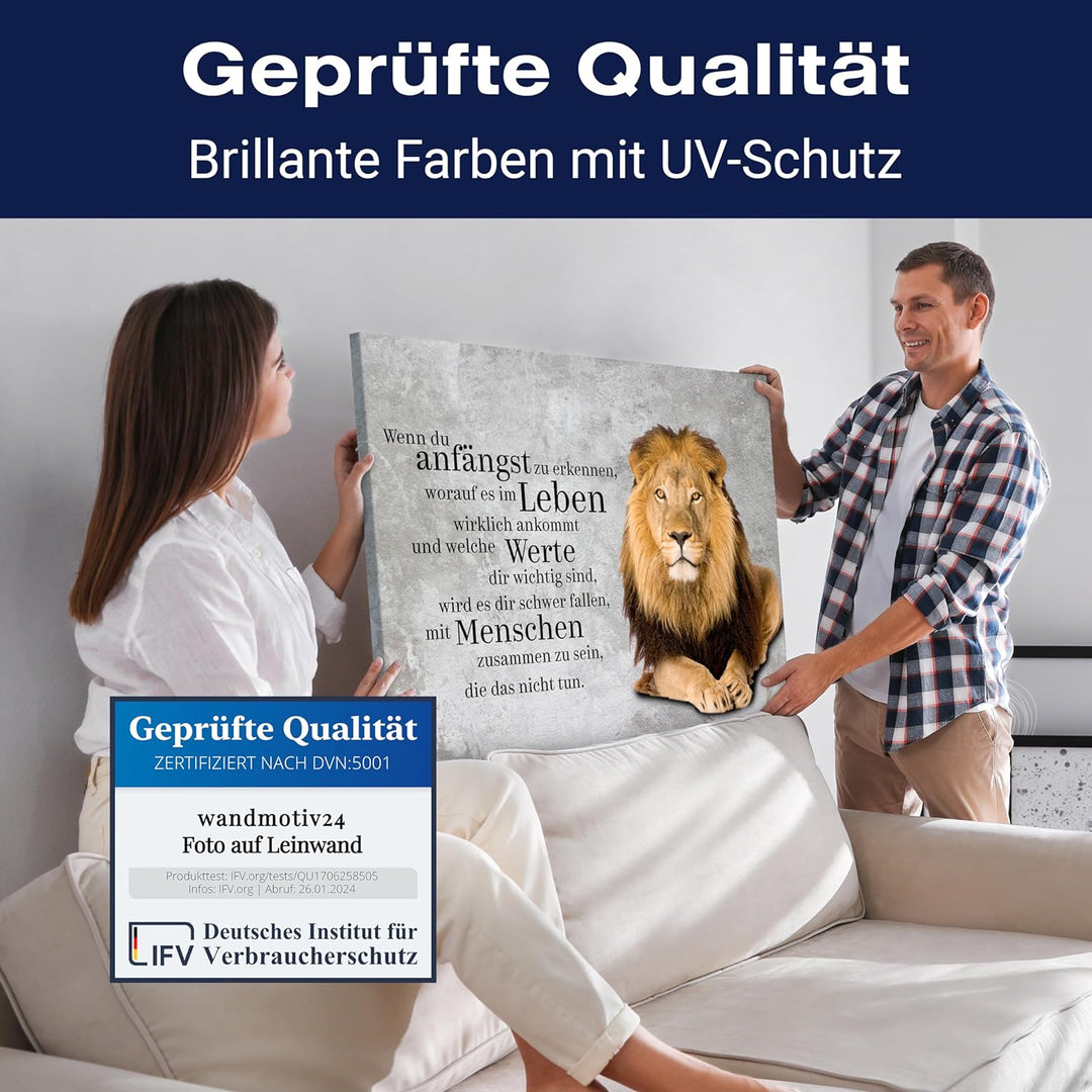 wandmotiv24 Motivations Motiv als Leinwandbild, 60x45cm, Querformat, welche Werte, Löwe, Beton, Grun
