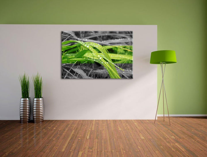 Grashalme im Morgentau schwarz/weiss Format: 100x70 auf Leinwand, XXL riesige Bilder fertig gerahmt