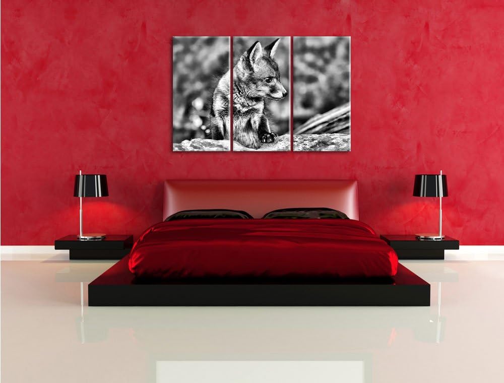 Pixxprint junger Fuchs als Leinwandbild/Grösse: 3 Teilig (120x80) cm/Wandbild/Kunstdruck/fertig besp