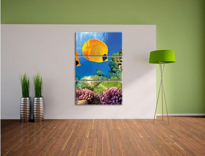 Pixxprint Fische Korallenriff als Leinwandbild/Grösse: 3 Teilig (120x80) cm/Wandbild/Kunstdruck/fert