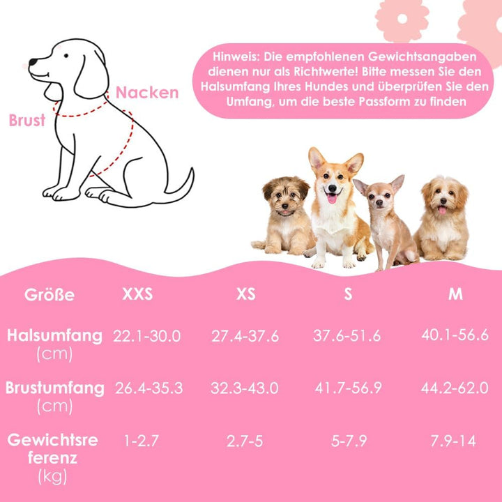 Hundegeschirr Kleine Hunde mit Leine, Atmungsaktiv Air Mesh Brustgeschirrmit reflektierenden Streife