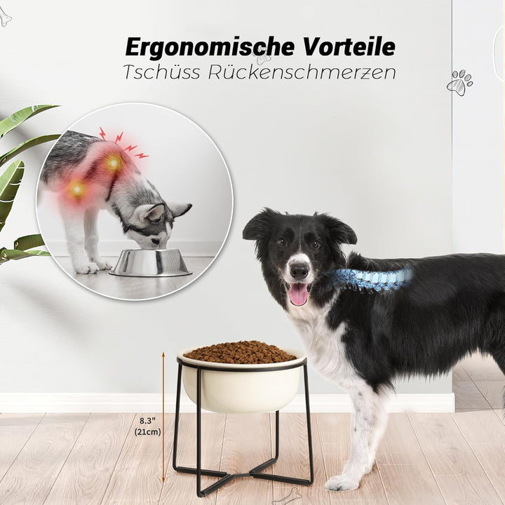 Hundenapf Erhöht Keramik Grosse Hunde - Fressnapf Hund mit Rutschfestem Ständer - Futternapf Wassern