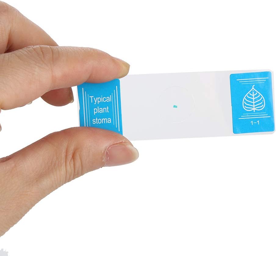 Vorbereitetes Mikroskop-Objektträger-Kit mit Proben Transparente Glasobjektträger Sortierte Probensa