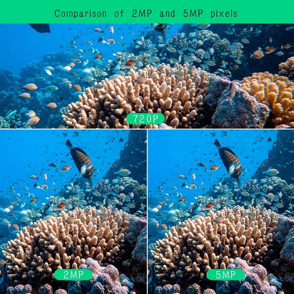 Unterwasserkamera, Aquarium Live Streaming Teich 5MP Kameras mit 32ft Kabel, Kamera