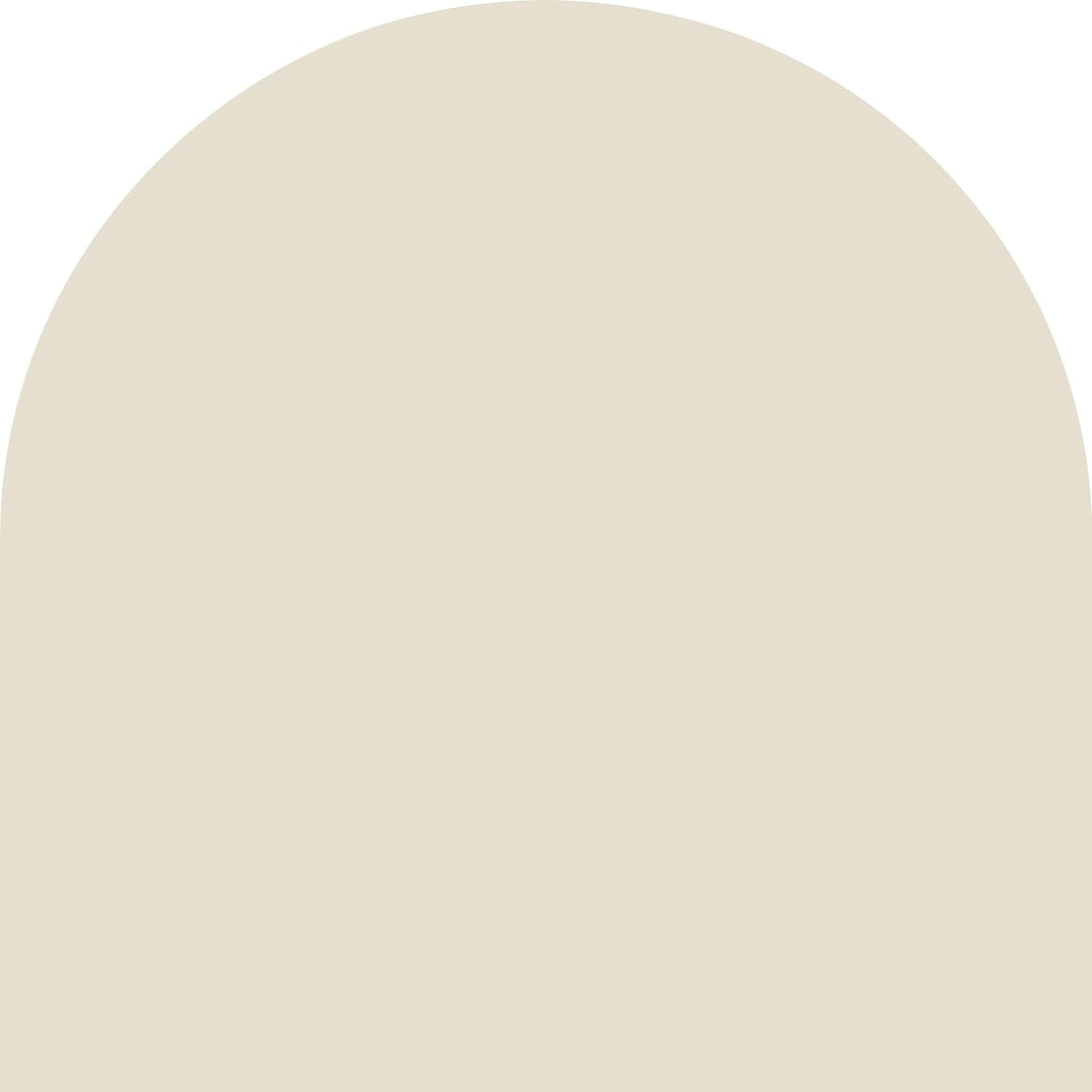 derendo Fühl Dich Wohl Deine Farbe beige, matte Wandfarbe beige, hohe Deckkraft, verschiedene Beiget