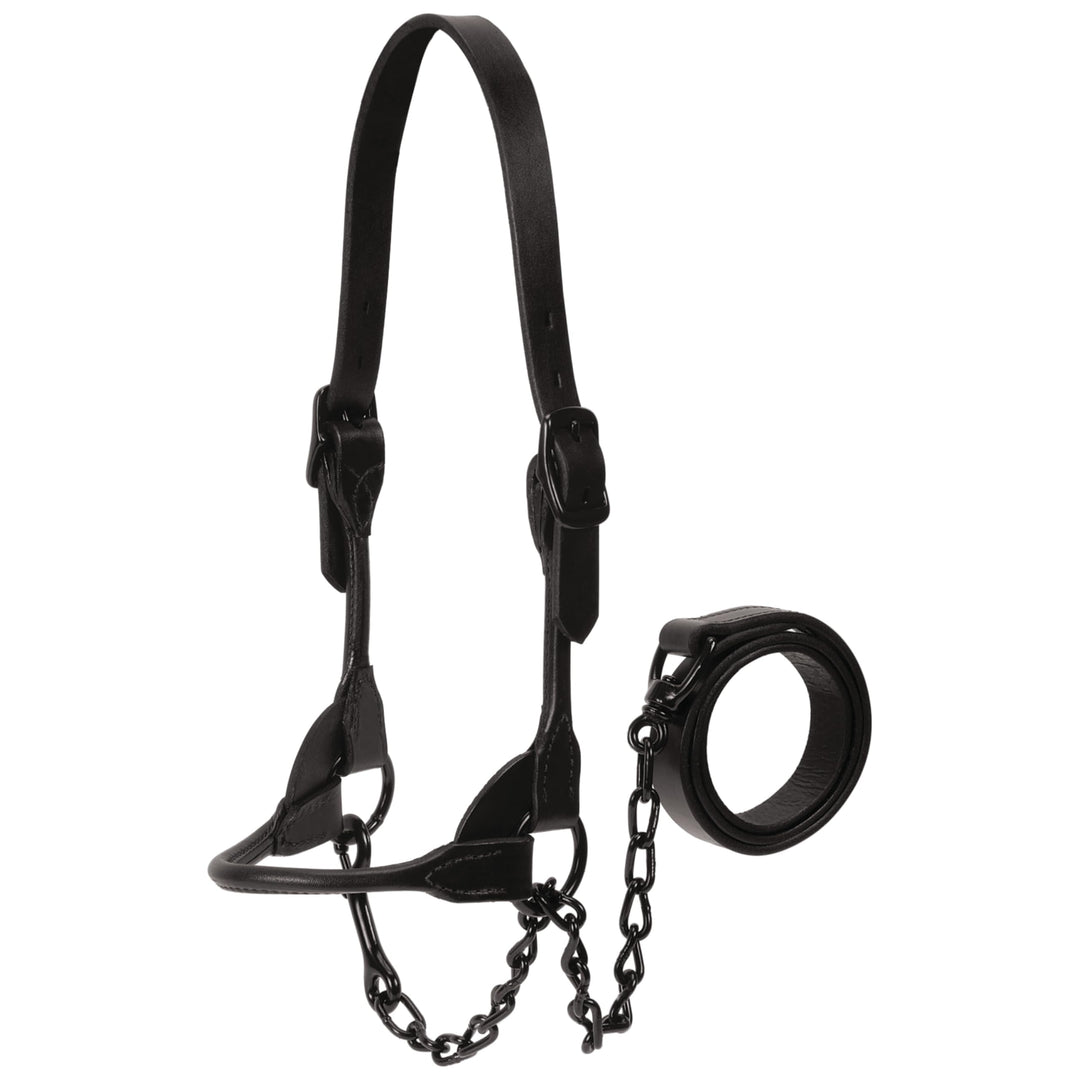 Weaver Leather Magic Show Halfter L Schwarz, L Schwarz