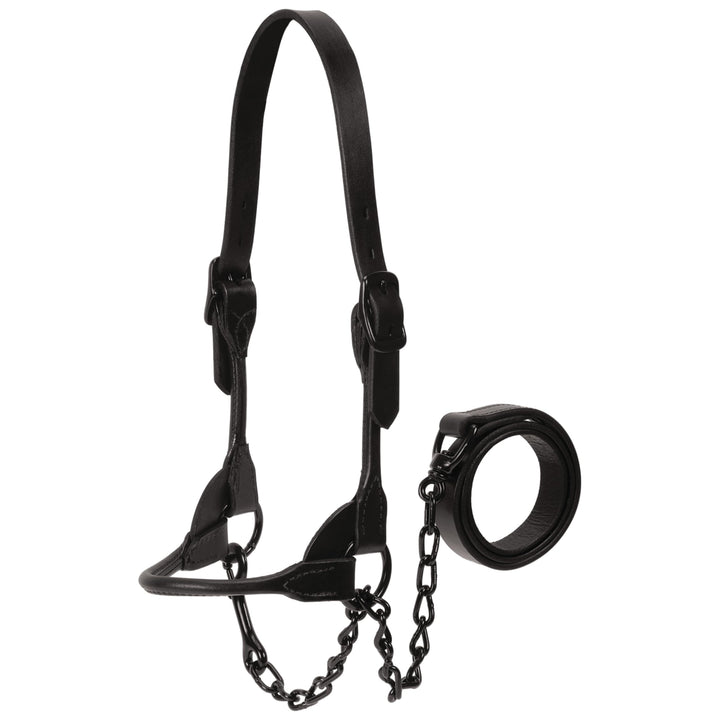Weaver Leather Magic Show Halfter L Schwarz, L Schwarz