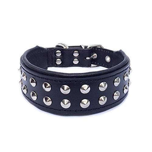 Bestia ''Boston'' Halsband L - passend zu einem Hals von 50 - 57,5 cm Schwarz & Schwarz, L - passend
