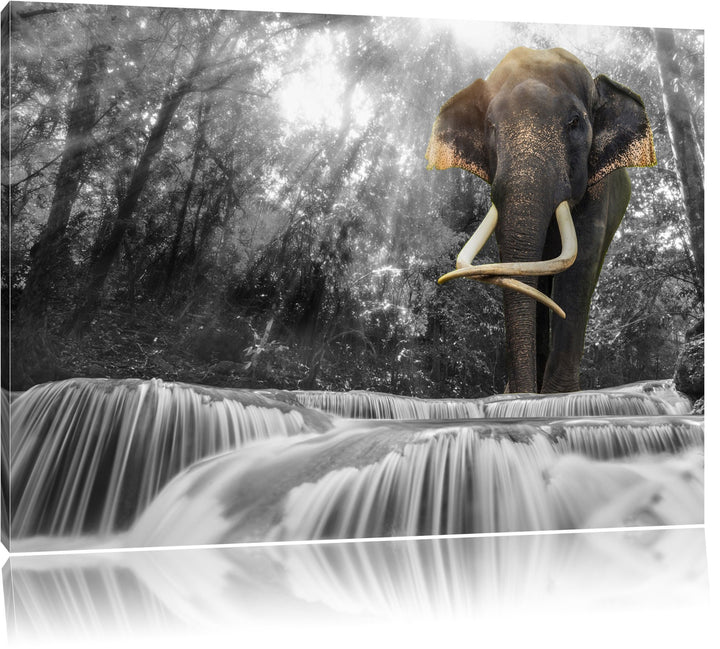 riesiger Elefant am Bach schwarz/weiss Format: 100x70 auf Leinwand, XXL riesige Bilder fertig gerahm
