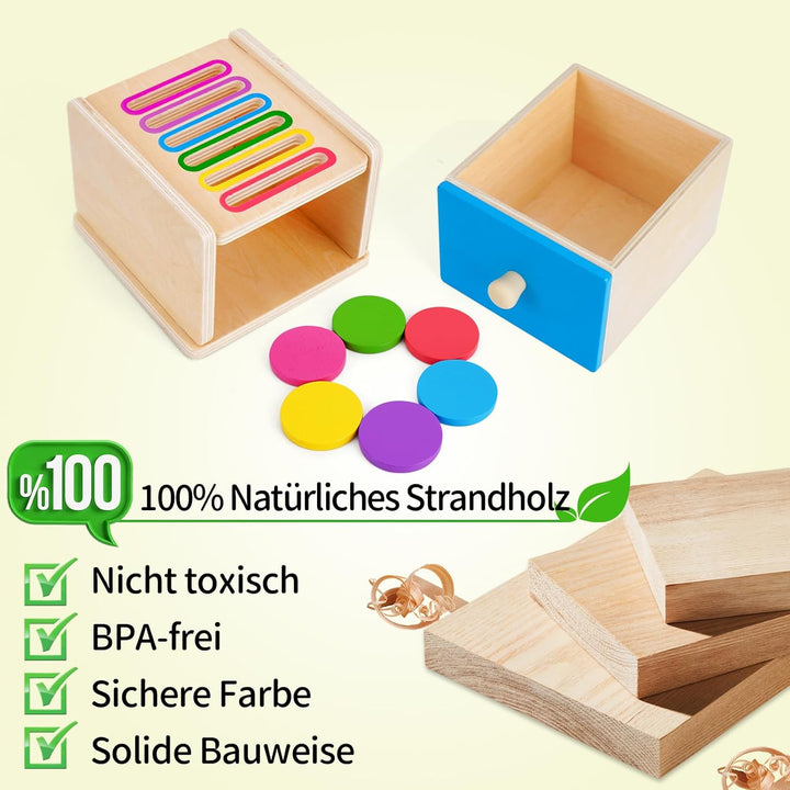FCSONU Kinder Montessori Spielzeug ab 1 2 3 Jahre Jungen Mädchen, Holzspielzeug ab 1 Jahr, Farbe Sor