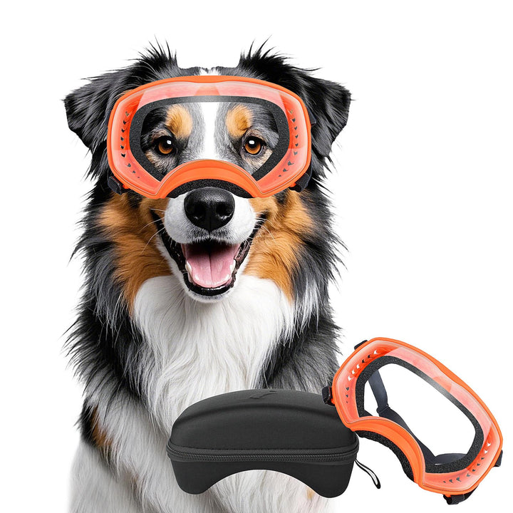 Hundebrille Winddichte Hunde Sonnenbrille Hund Schutzbrille mit Verstellbare Band Geeignet für Mitte