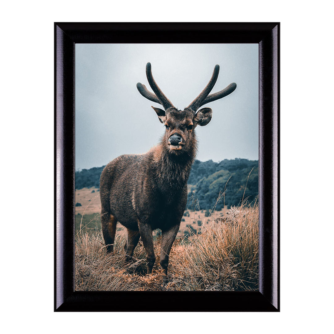 Rahmendesign24 Posterrahmen Fiona 60x80 Schwarz (hochglanz) Fotorahmen, Wechselrahmen, Bilderrahmen,