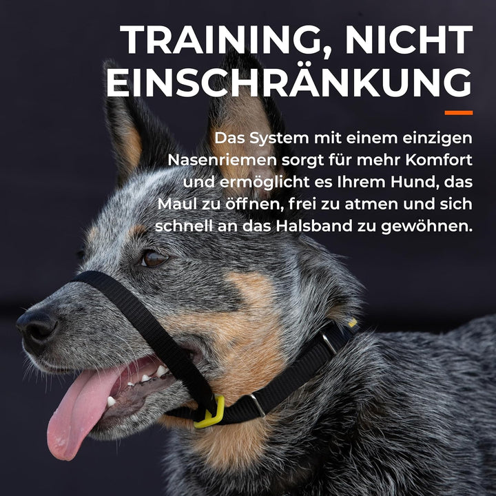 Canny Collar Halsband für Hunde, einfache und effektive Hilfe beim Hundetraining und verhindert das