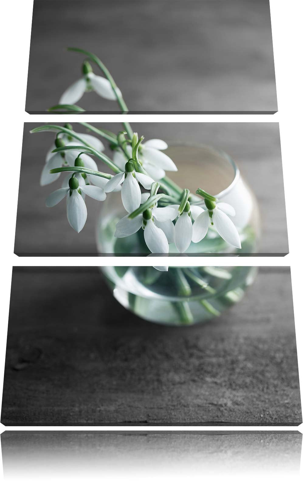 Pixxprint Schneeglöckchen in der Vase als Leinwandbild/Grösse: 3 Teilig (120x80) cm/Wandbild/Kunstdr