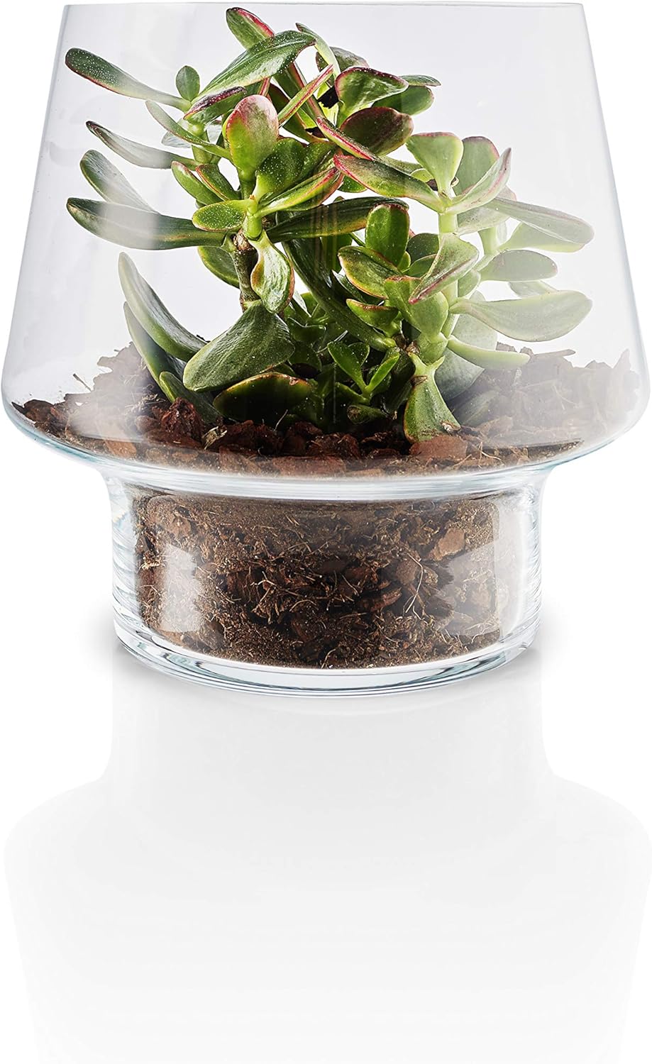 EVA SOLO | Mouth-Blown Succulent Glass Vase | 21cm, 21cm