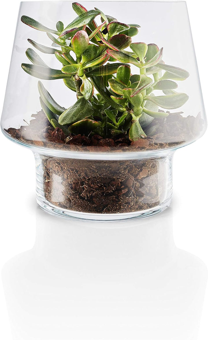 EVA SOLO | Mouth-Blown Succulent Glass Vase | 21cm, 21cm
