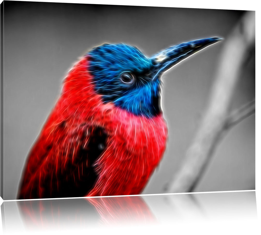 kleiner tropischer Vogel schwarz/weiss Deluxe Format: 100x70 cm auf Leinwand, XXL riesige Bilder fer