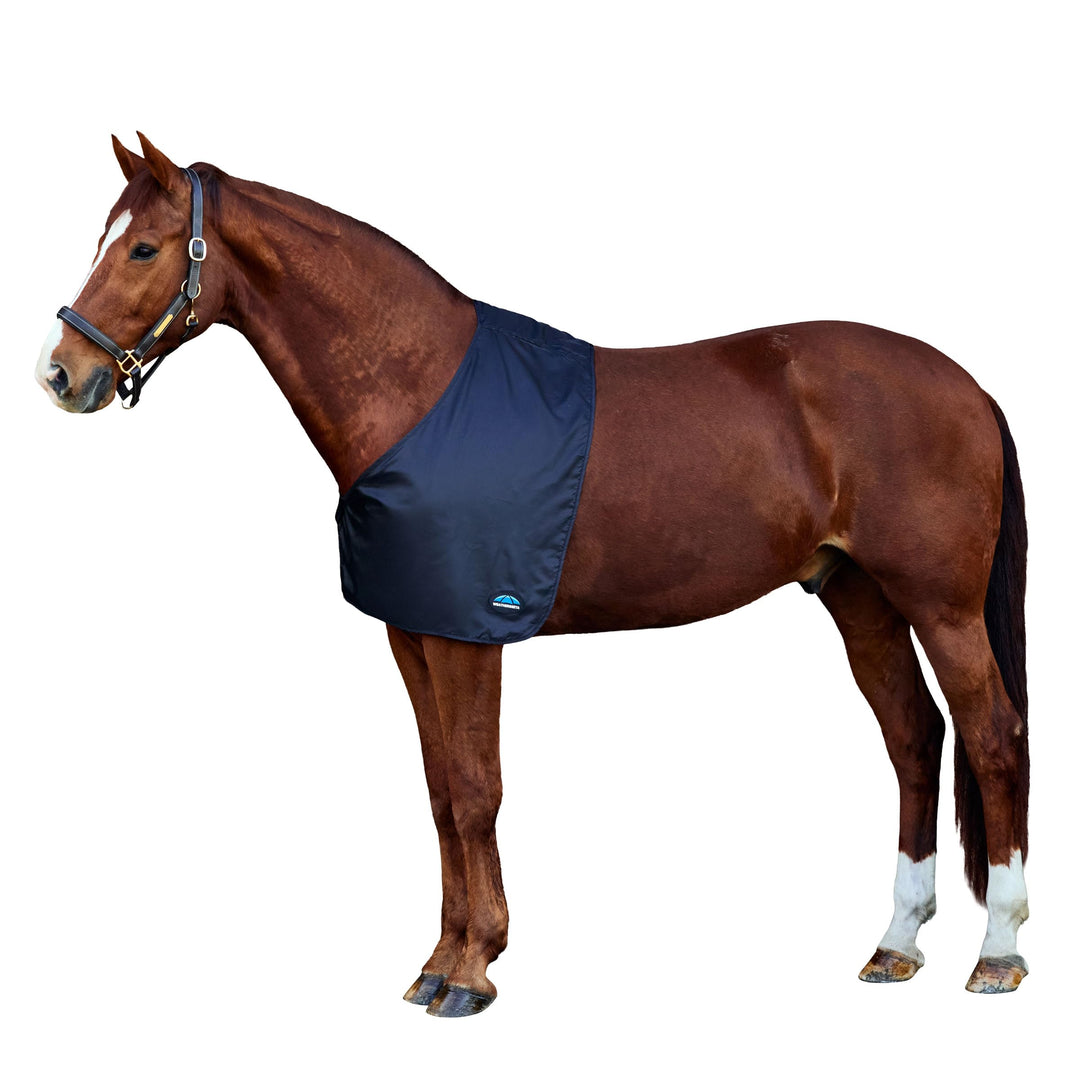 Weatherbeeta Satin Shoulder Guard Black Cob, Black Cob