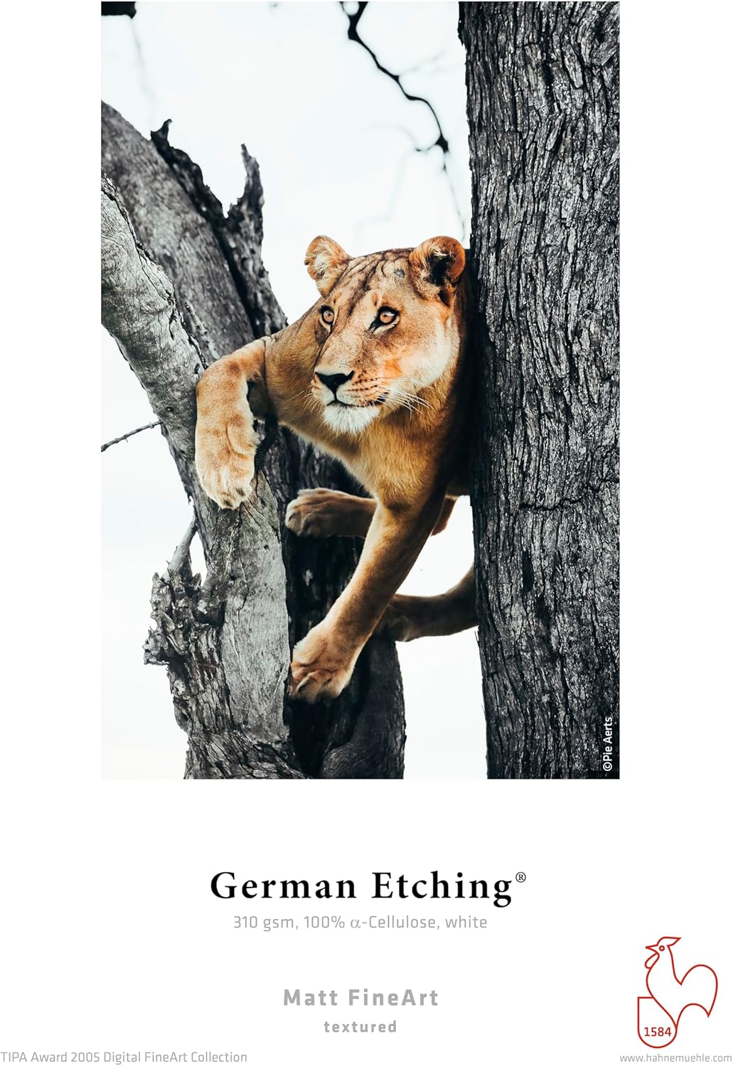 Hahnemühle 10641643 Digital FineArt German Etching Papier, 310 g/m², DIN A4, 210 x 297 mm, weiss, 21