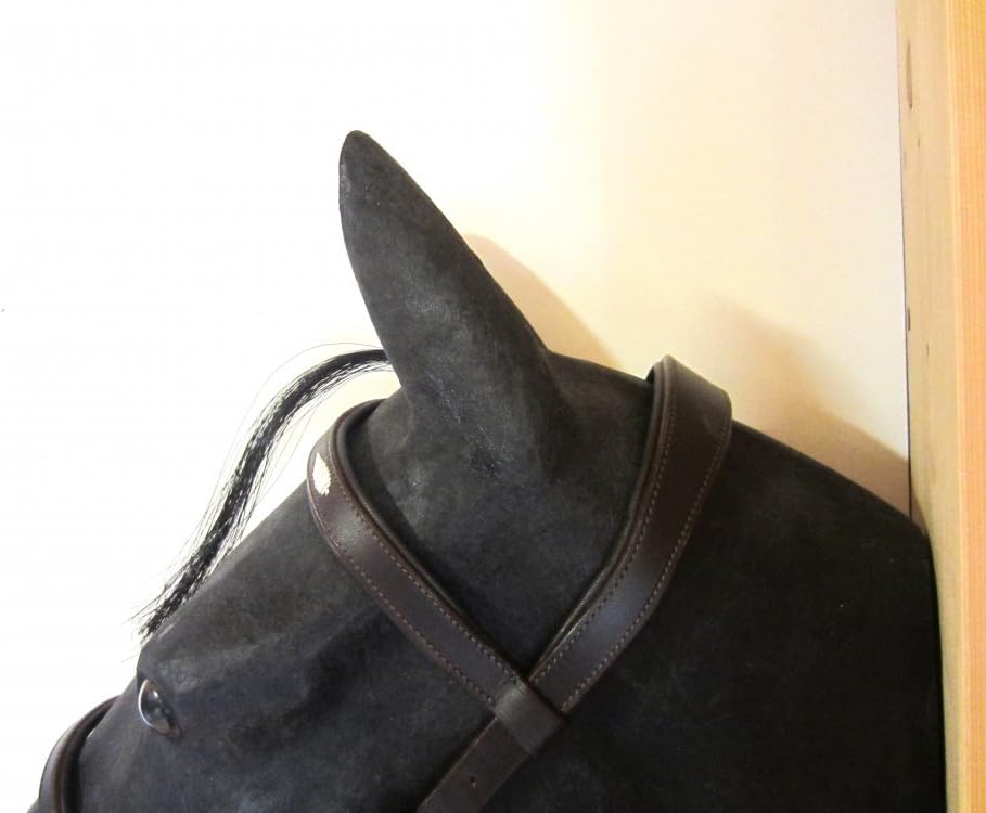 PS Pferdeartikel Weiche Spanisch - Barocke Trense Ameno Cob - Farbe Schwarz, Cob - Farbe Schwarz