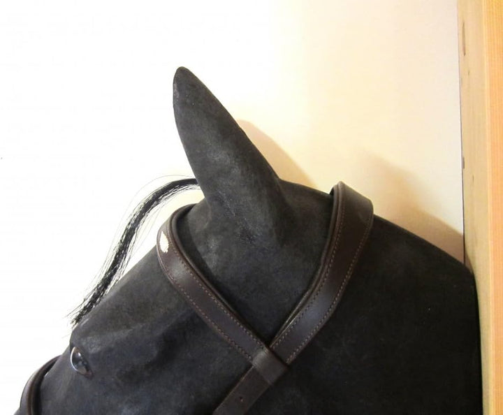 PS Pferdeartikel Weiche Spanisch - Barocke Trense Ameno Cob - Farbe Schwarz, Cob - Farbe Schwarz