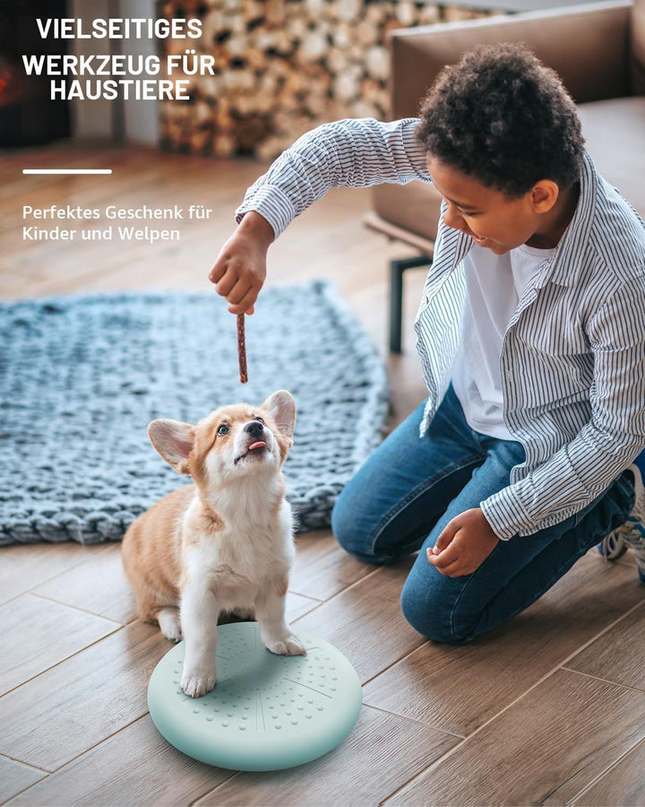 Balance Kissen Mit Pumpe, Comfy-Touch, 33cm Durchmesser, Wackel-Stabilitätskissen für Physiotherapie